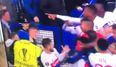 Everton fan that tried to hit Lyon ‘keeper gives absolutely ridiculous excuse for his actions