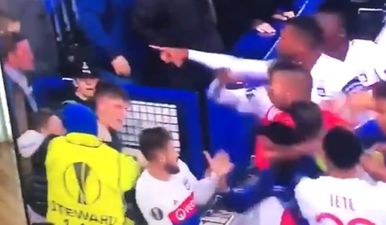 Everton fan that tried to hit Lyon ‘keeper gives absolutely ridiculous excuse for his actions