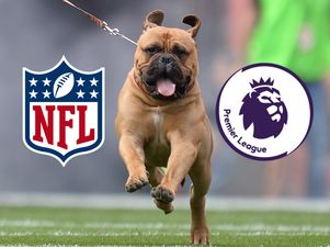 What dog mascots should each Premier League team have? A definitive list…