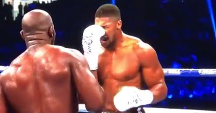 The moment that Anthony Joshua’s nose was smashed by a Takam headbutt