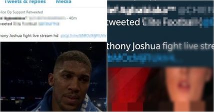 Official police account retweets ‘AJ’ boxing stream and porn