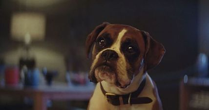 Details of this year’s John Lewis Christmas advert have been revealed