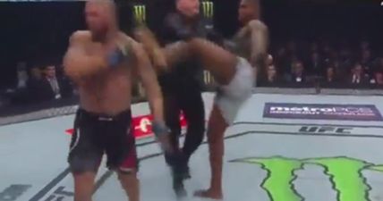 British heavyweight receives brutal illegal kick on UFC 217 card