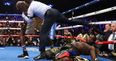 Deontay Wilder stakes claim for Anthony Joshua fight with crazy KO