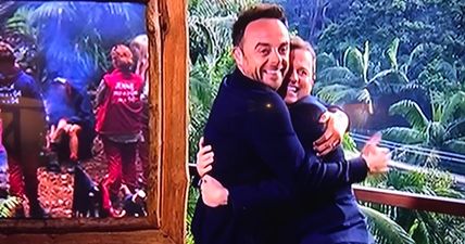 Viewers adored Dec’s Ant joke that kick-started I’m a Celeb