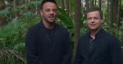 I’m a Celebrity viewers think Ant’s sly dig towards Joe Swash proves they are feuding