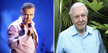 Morrissey takes a pop at Sir David Attenborough over his ‘regard for animals’