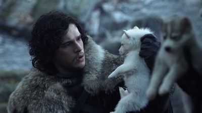 Game of Thrones fan is raising money to make sure Ghost is in Season 8