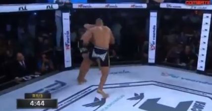 MMA fans should treat themselves to this insane 20-second fight