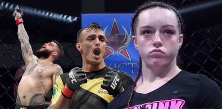 The promising prospects to watch in every UFC division in 2018