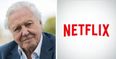Great news because Sir David Attenborough is developing a new nature show on Netflix