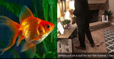 Man holds full funeral after his two pet goldfish die