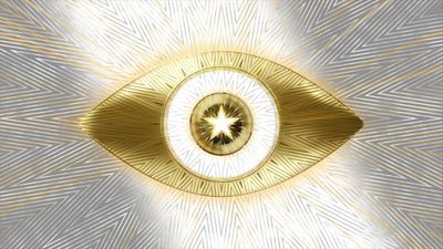 The winner of Celebrity Big Brother has been revealed