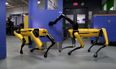 This footage of highly advanced, dog-like robots is causing everyone to freak out