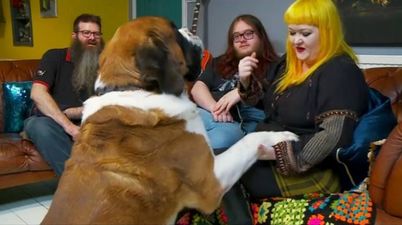 Everyone had the same reaction to this absolute tank of a dog on Gogglebox