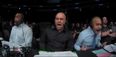 Joe Rogan’s reaction to Frankie Edgar’s first knockout loss really said it all