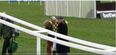 Concern for Ruby Walsh after crushing fall