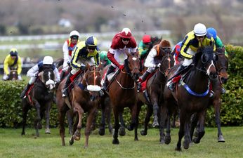 Quiz: Are these Cheltenham horse names real or fake?