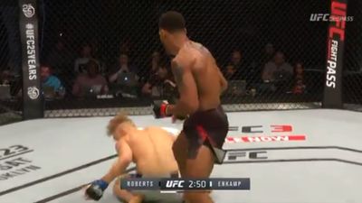 Left hand all the way from Liverpool gives Danny Roberts win on UFC London card