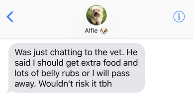 If our dogs could text us, this is probably what they’d say