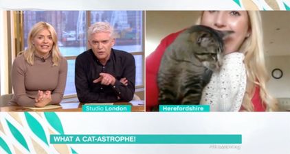 Holly Willoughby criticised for laughing through dead cat story