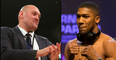 Tyson Fury responds to Anthony Joshua’s win with a brutal Instagram post