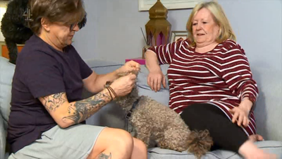 Gogglebox viewers furious with Stephen Webb’s treatment of his dog last night