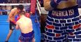 WATCH: American boxer wearing ‘Trump Wall-themed’ shorts destroyed by Mexican opponent