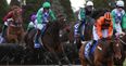 Animal rights group PETA call for ITV to stop broadcasting the Grand National