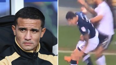 Tim Cahill avoided a red card despite landing an elbow on Fulham player