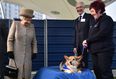 The heartbreaking reason the Queen has stopped breeding corgis