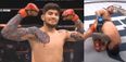 Dillon Danis’ pro debut started shakily but ended magnificently