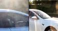 Man banned from driving for riding Tesla down motorway in passenger seat