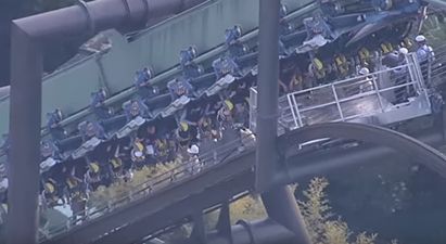 WATCH: Rollercoaster stalls mid-twist, leaving dozens of people hanging upside down for hours