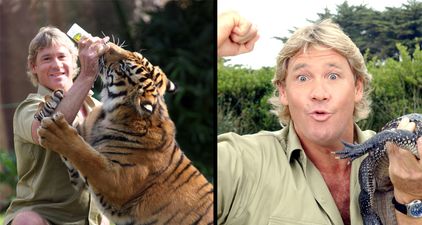 Steve Irwin’s son appeared on a US talk show and he’s exactly like his father