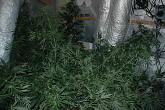 Dublin house fire uncovers sophisticated cannabis grow house