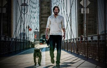 Here is your first official look at John Wick: Chapter 3