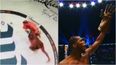 Fight fans loved Michael Page’s Fortnite celebration after he made opponent give up