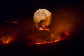 Saddleworth Moor fire declared major incident, smoke plume visible from space