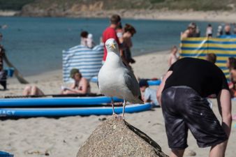 UK heatwave due to last until August with temperatures up to 35C