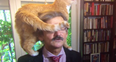 Dutch news TV interview brilliantly ruined by interviewee’s cat