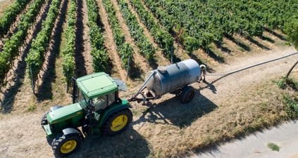 UK would run out of food within one year from now if a no-deal Brexit happens, farmers union warns