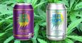 Heineken launches a brew made with marijuana instead of alcohol