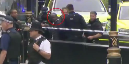 Footage shows moment man is arrested by armed police following Houses of Parliament barrier crash