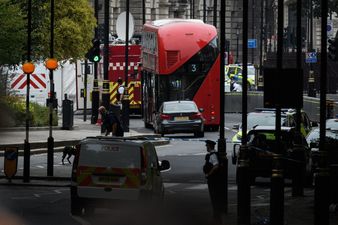 Houses of Parliament barrier car crash is being treated as “suspected terror attack”