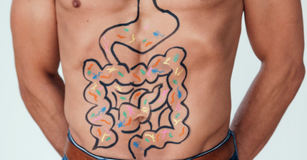 How a healthy gut can help you lose weight