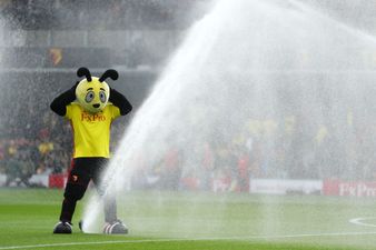 Watford mascot Harry the Hornet does Conor McGregor walk to wind up Crystal Palace fans