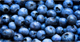 Why blueberries should be your new pre-workout