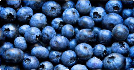 Why blueberries should be your new pre-workout