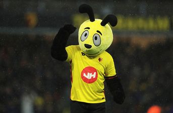 The man behind Harry the Hornet has resigned